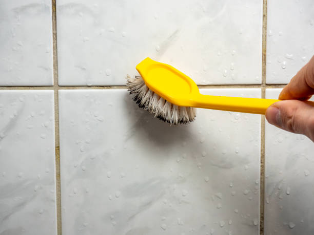 Best Office Mold Removal Services  in Mertzon, TX