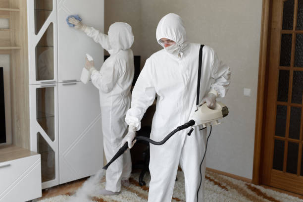 Office Mold Removal Services in Mertzon, TX